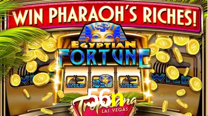 Live Casino 56n